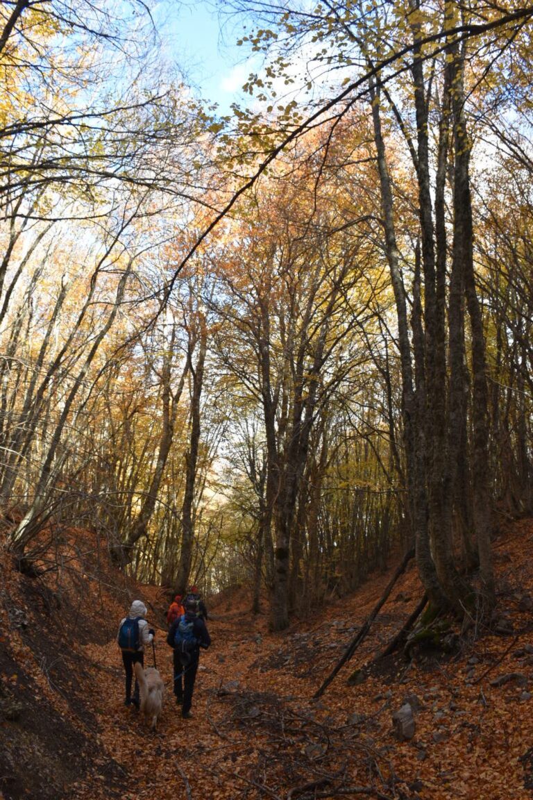 25.02.24 Escursione a Monte Ferro