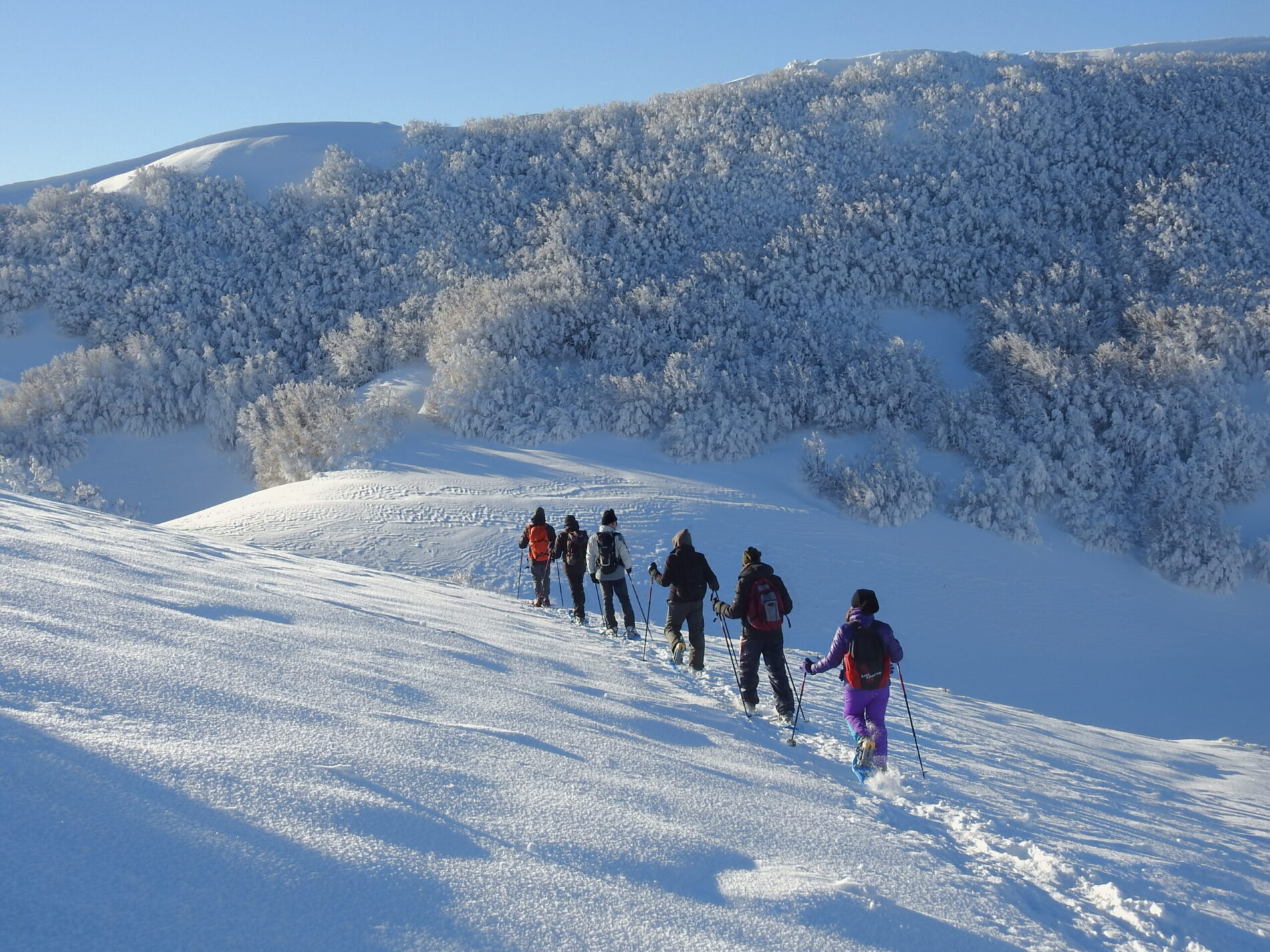 Ciaspolate nel Parco delle Madonie