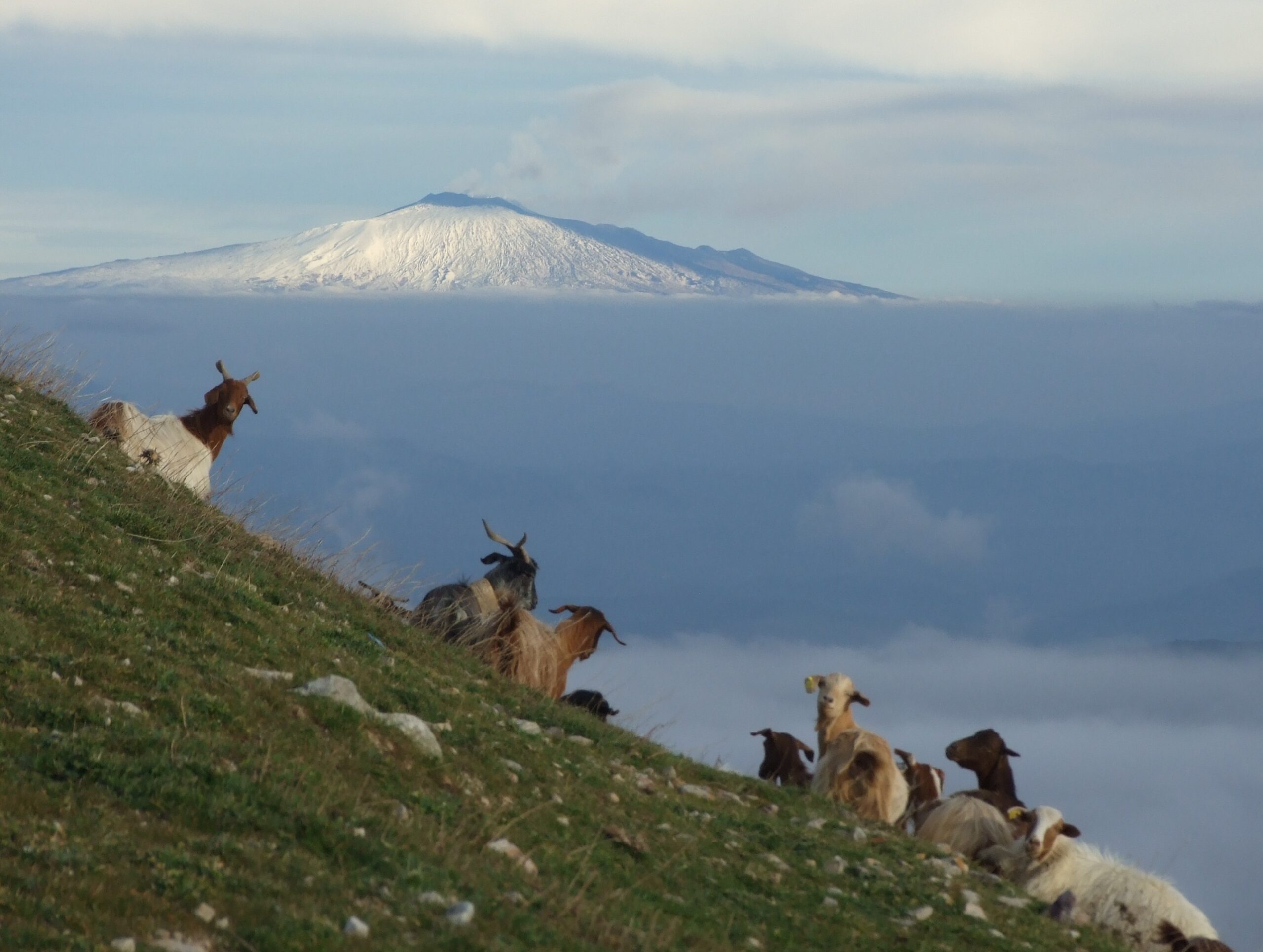 Via francigena per le Montagne  Palermo Messina
