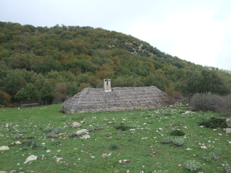 escursioni di fine gennaio sulle Madonie: agrifogli, panorama e super luna