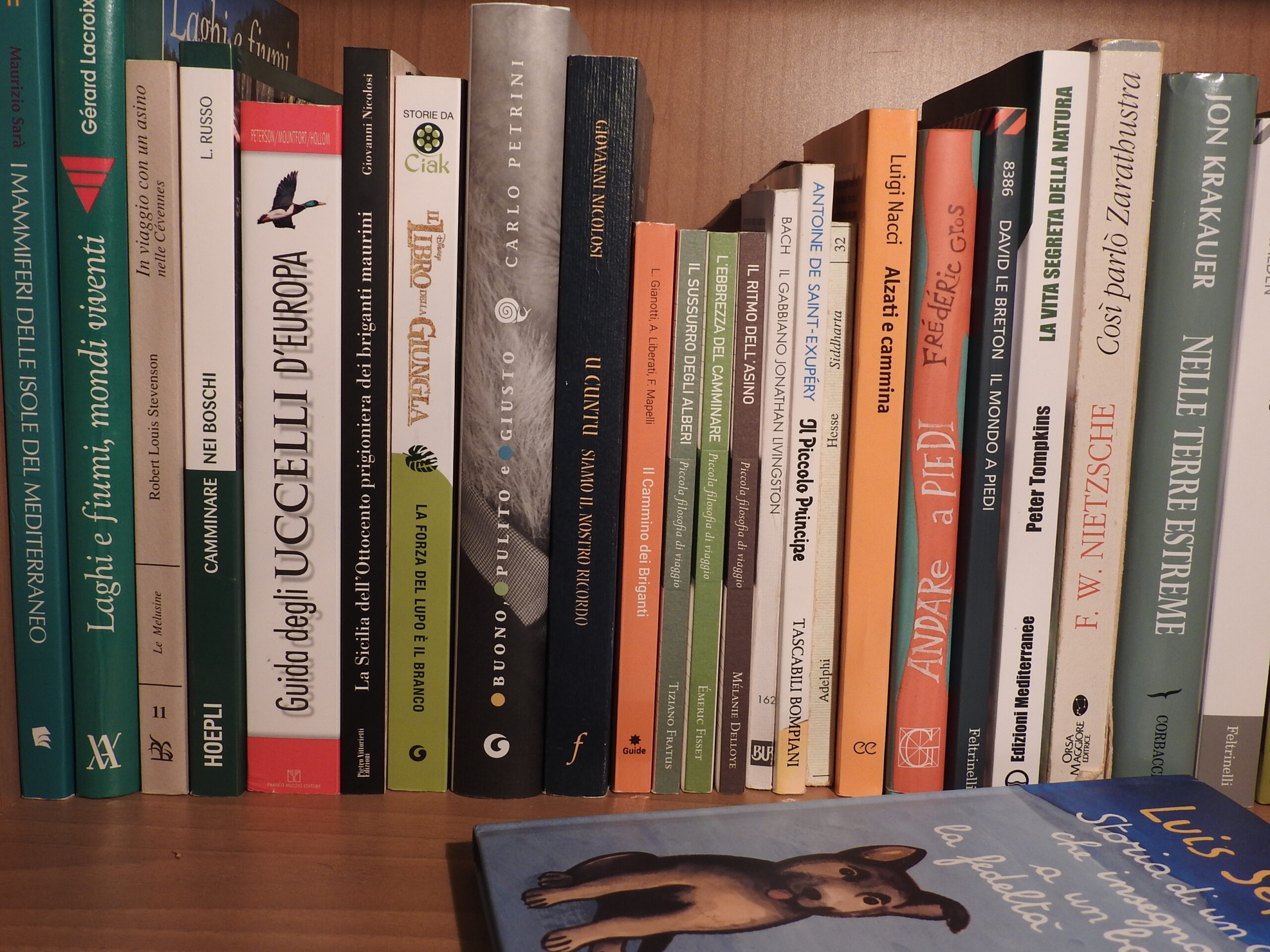 Libri compagni di vita