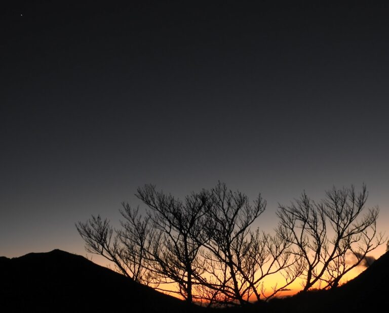 LA LUCE CREPUSCOLARE IDEALE PER OSSERVARE LA NATURA