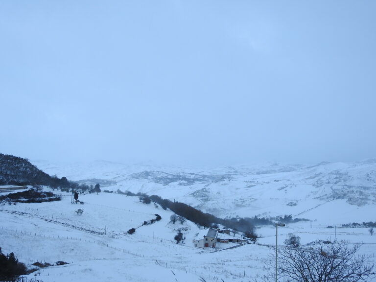03.01.19 -Neve sulle Madonie sopra gli 800 metri