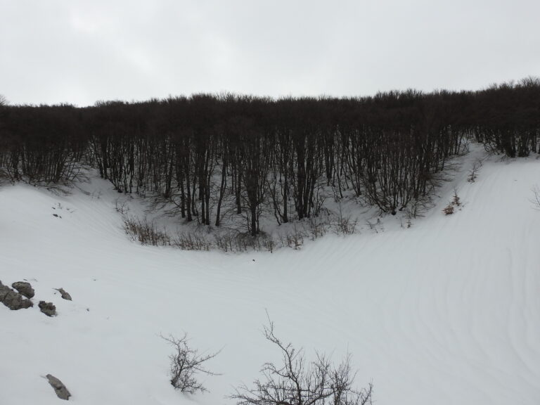 06.02.17 NEVICA SULLE ALTE MADONIE