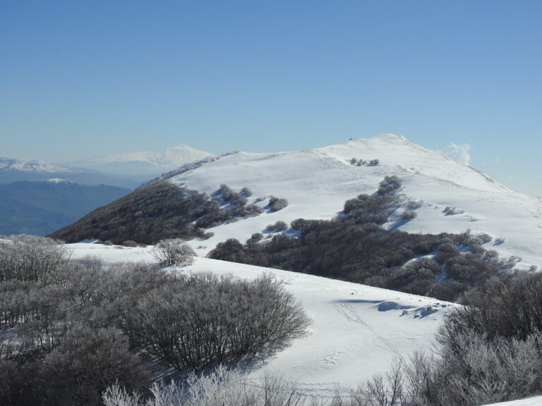 22.01.23 Escursione (o ciaspolata) a Monte Ferro e Neviera Principessa