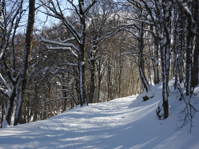 05.01.20 ciaspolata a Monte Ferro sulle Madonie