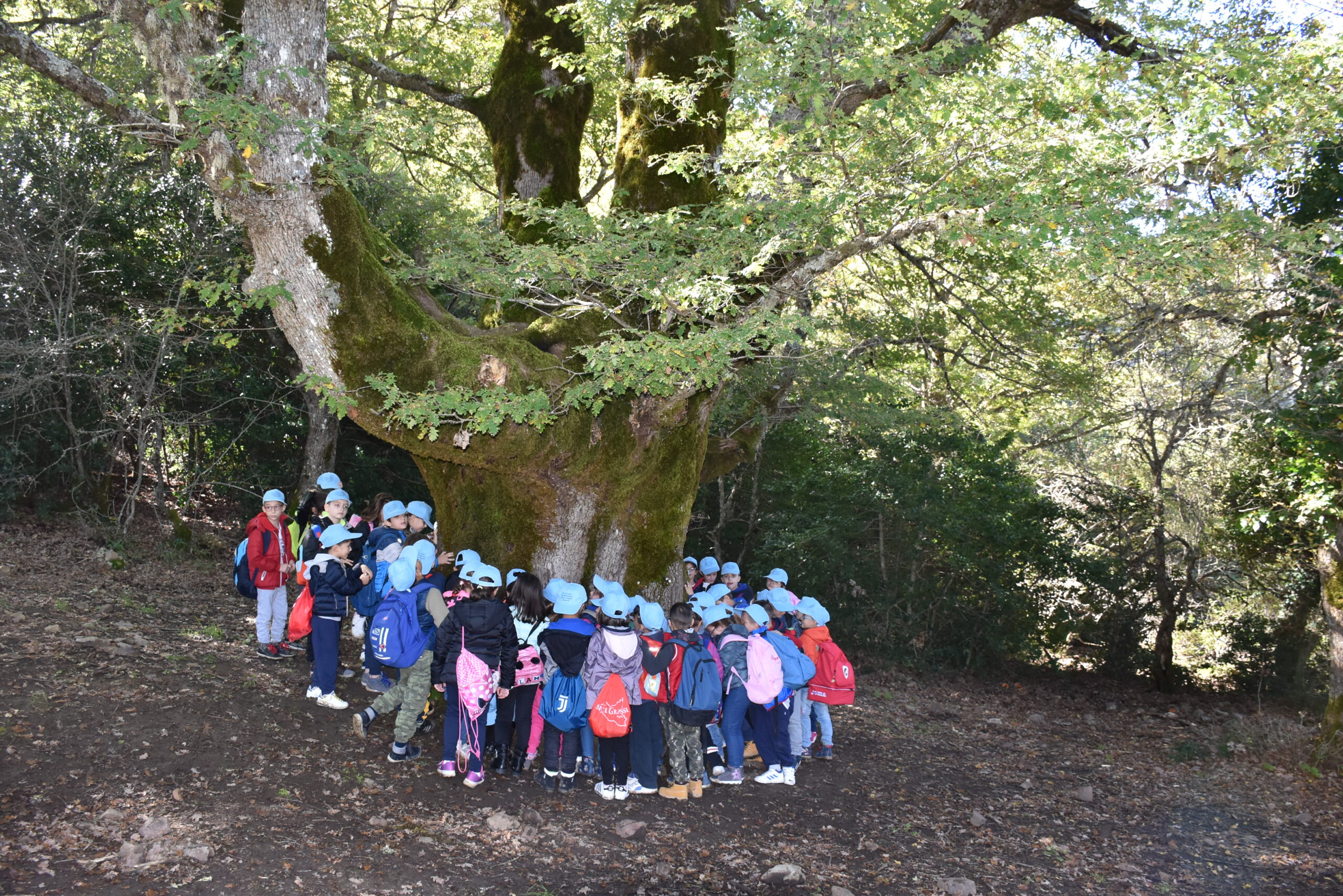 “A scuola dal  signor Bosco”. Progetto di educazione ambientale