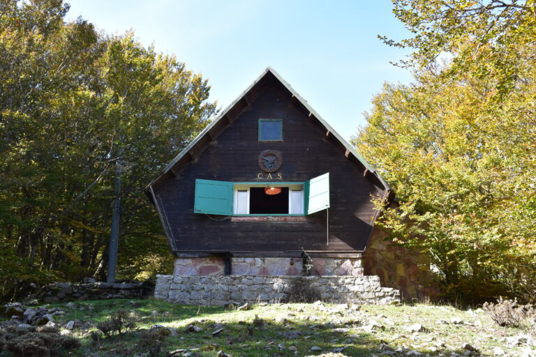 Notte Wild a Monte Cervi sulle Madonie.  17 e 18 novembre per scoprire la natura selvaggia