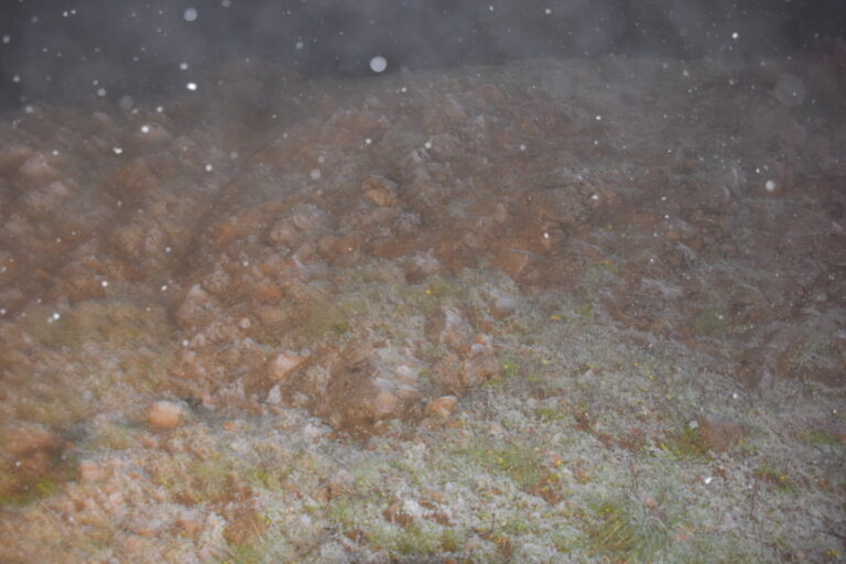 27.11.18 – Prima nevicata  sulle Madonie. Nevica sopra i 1400 m.s.l.m.
