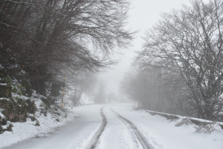 25.01.19 continua a nevicare sulle Madonie. Mezzi spalaneve in azione  a Piano Battaglia