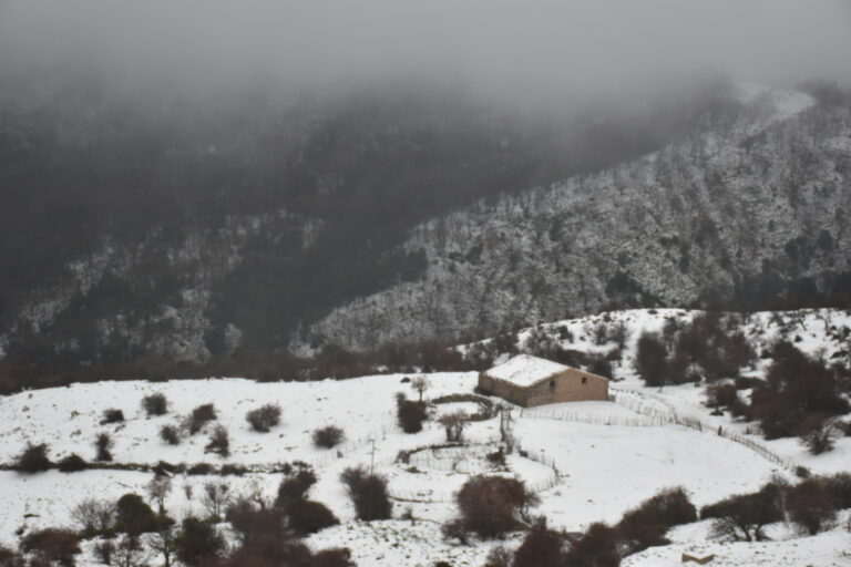 18.12.18 neve sopra i 1300 metri sulle Madonie