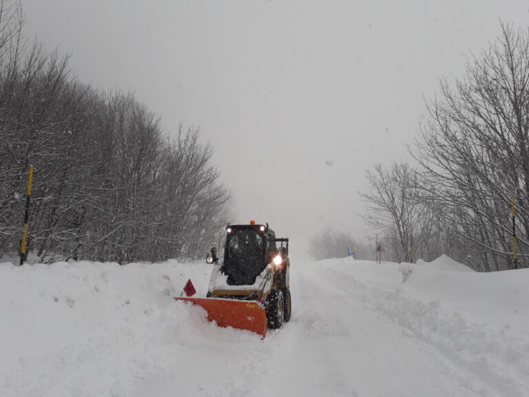 25.01.19  situazione alle 15.00 a Piano Battaglia. Nevica ininterrottamente da questa mattina.