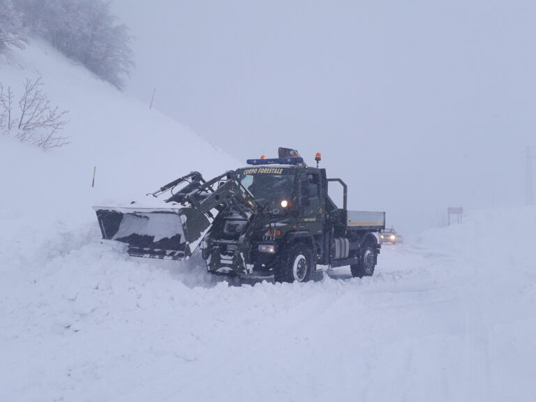 23.02.19 Situazione in tempo reale a Piano Battaglia