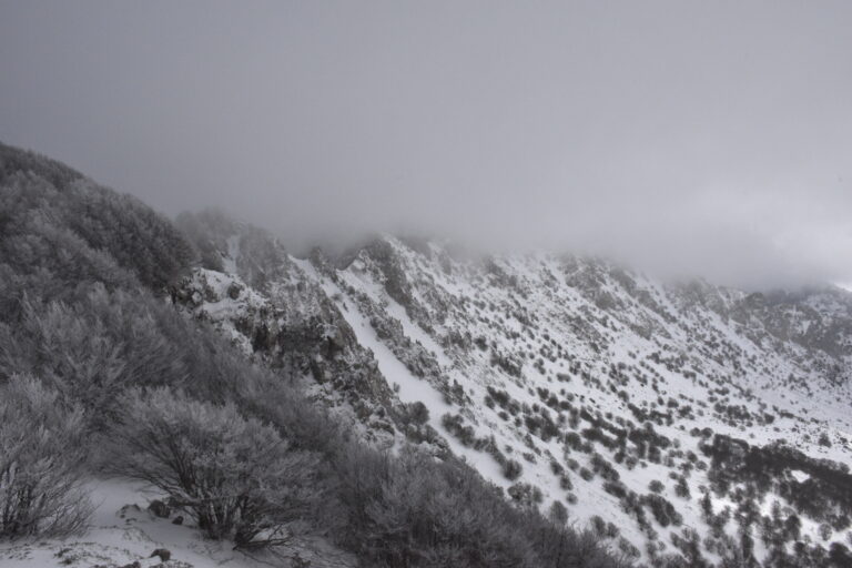 13 gennaio – ciaspolata a Monte Mufara nel Parco delle Madonie