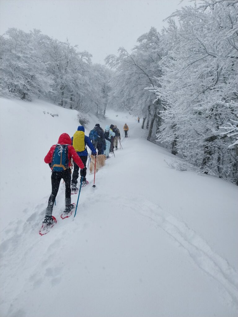 23.02.25 Ciaspolata sulle alte Madonie