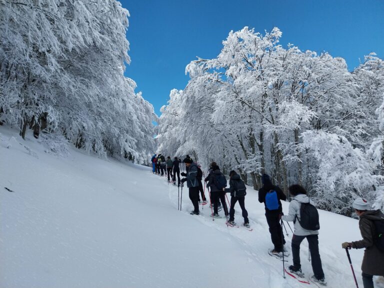 29.12.24 Ciaspolata a monte Mufara