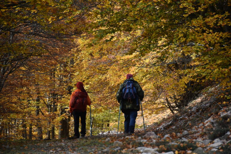 02.12.23 traversata di monte San Salvatore da Pomieri a Gisa