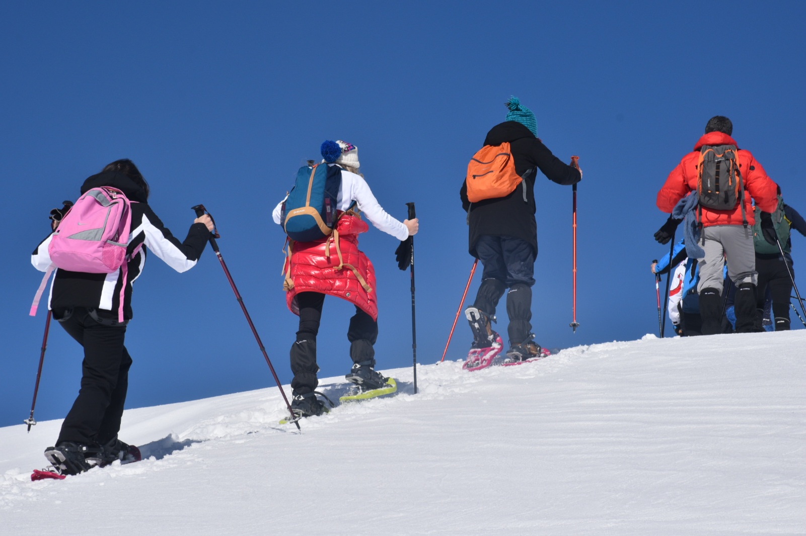 CIaspolate nelle Madonie