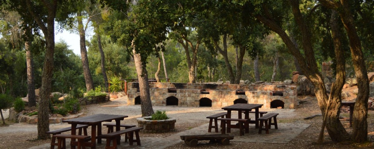 Parco avventura di Pollina - immagine 5